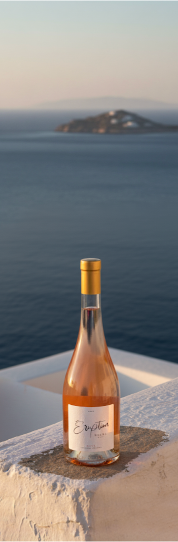 Eruption Lifestyle 5